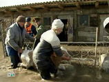 По данным на 13 апреля, в области отселено более 2 тысяч человек. Эвакуация прошла организованно, без паники По данным на 13 апреля, в области отселено более 2 тысяч человек. Эвакуация прошла организованно, без паники