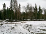 Ранее госкомпания "Автодор" заявила, что работы по подготовке территории для строительства автомагистрали Москва - Петербург через Химкинский лес возобновились 12 апреля с вывоза вырубленных деревьев