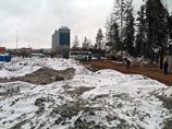 В Химкинском лесу незаконно вырубают деревья, заявляют его защитники