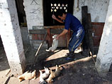 Китайские защитники животных спасли более 400 собак, которых собирались продать ресторанам