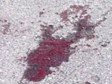 Н. Рамазанов был убит из автоматического оружия во дворе собственного дома в селении Аверьяновка Н. Рамазанов был убит из автоматического оружия во дворе собственного дома в селении Аверьяновка