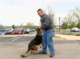 Американец предстал перед судом за то, что облаил полицейского пса