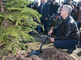Одно из деревьев - трехметровую ель, привезенную из Рузского района Московской области, посадил мэр столицы