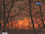 Медведев заявил о недостаточной работе чиновников по предотвращению возможных летних пожаров, в том числе на торфяниках