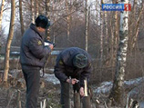 Он сообщил также, что активисты вызвали на место вырубки полицию Он сообщил также, что активисты вызвали на место вырубки полицию