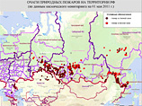На территории Сибирского федерального округа действует 55 очагов лесных пожаров на общей площади 604,4 га, из них локализовано 19 очагов на площади 311,3 га
