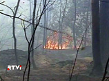 МЧС: В Сибири горит более 600 га леса