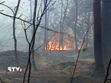 МЧС: В Сибири горит более 600 га леса МЧС: В Сибири горит более 600 га леса