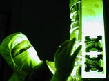 Внутри космического аппарата находились четыре кварцевых шара, покрытых ниобием. Это самые идеальные сферы из всех, когда-либо сделанных. Их температура поддерживалась близкой к абсолютному нулю (-273 градуса по Цельсию) Внутри космического аппарата находились четыре кварцевых шара, покрытых ниобием. Это самые идеальные сферы из всех, когда-либо сделанных. Их температура поддерживалась близкой к абсолютному нулю (-273 градуса по Цельсию)