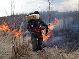 МЧС не нашло в Подмосковье горящих торфяников, о которых сообщали экологи МЧС не нашло в Подмосковье горящих торфяников, о которых сообщали экологи