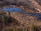 В канадской провинции Альберта произошел рекордно большой разлив нефти