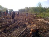 Активистам движения в защиту Химкинского леса вновь удалось приостановить вырубку деревьев