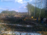 Защитники Химкинского леса заявляют о нападении на их лагерь, разбитый вблизи места вырубки деревьев в лесу