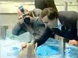 Как передает корреспондент RTVi и "Эхо Москвы" Екатерина Котрикадзе, Саакашвили там обнял, приласкал и поцеловал одного из дельфинов