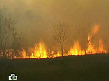 По факту крупного пожара в лесу Амурской области возбуждено уголовное дело, в рамках которого арестован проживающий в регионе гражданин Украины. Огнем было уничтожено 100 га леса. Ущерб превысил один миллион рублей