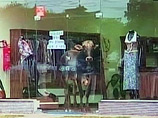 В бразильском городке Сан-Жозе-ду-Риу-Прету к посетителям магазина одежды присоединился бык
