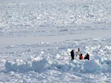 Wikileaks раскрыл тайны "гонки за Арктику" - основная борьба идет между США, Россией и Канадой