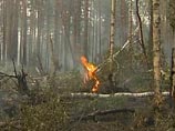 Площадь лесных пожаров в Сибири увеличилась за сутки в пять раз Площадь лесных пожаров в Сибири увеличилась за сутки в пять раз