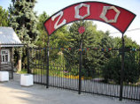 В Ингушетии открылся первый в республике зоопарк