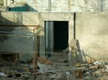 Откровения экс-агента ЦРУ в эфире Первого канала: бен Ладена никто не убивал