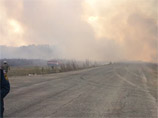 Из-за ветреной сухой погоды пожар быстро превратился в верховой, огнем охвачено порядка 50 гектаров леса в районе Гусевской дороги по обеим сторонам