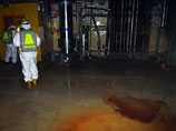 Сотрудники компании-оператора японской АЭС "Фукусима-1" TEPCO провели разведку внутри всех четырех пострадавших от землетрясения и цунами 11 марта энергоблоков станции для того, чтобы изучить условия для установки системы охлаждения Сотрудники компании-оператора японской АЭС "Фукусима-1" TEPCO провели разведку внутри всех четырех пострадавших от землетрясения и цунами 11 марта энергоблоков станции для того, чтобы изучить условия для установки системы охлаждения