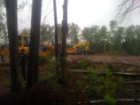 Химкинский лес больше не рубят, объявил "Автодор". Экозащитники не верят