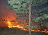 По данным пресс-службы, за прошедшие сутки потушен 291 очаг природных пожаров на общей площади 11,8 тыс. га; продолжает действовать 187 очагов природных пожаров на землях Рослесхоза, в том числе 16 крупных пожаров на территории Республики Саха (Якутия)