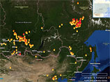 В два раза выросла за сутки площадь лесных пожаров в Сибири