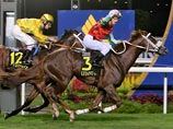Лошадь Кадырова выиграла 3 млн долларов на скачках в Сингапуре