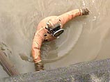 В двух прудах Москвы нашли по мертвецу, еще в одном водоеме - голову В двух прудах Москвы нашли по мертвецу, еще в одном водоеме - голову