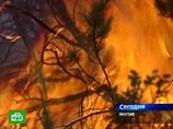 Якутск окутан дымом от лесных пожаров: их в регионе уже больше, чем в прошлом году