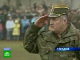 Семья арестованного генерала Ратко Младича, задержанного в четверг, имеет право получить более 4,5 миллиона динаров (около 45 тысяч евро) его невыплаченных пенсий бывшего лидера боснийских сербов