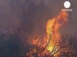 На популярном у туристов острове Ибица третьи сутки бушует крупнейший в истории лесной пожар