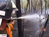 Площадь лесных пожаров в Сибири за сутки выросла на 426 гектаров