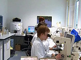Жертвами опасной кишечной инфекции, носителями которой являются огурцы, стали в Германии уже десять человек, более 300 заражены Жертвами опасной кишечной инфекции, носителями которой являются огурцы, стали в Германии уже десять человек, более 300 заражены