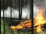 МЧС прогнозирует осложнение ситуации с природными пожарами в Сибири