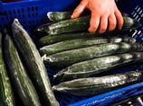 В Германии - 365 новых случаев заражения кишечной инфекцией, поиски источника смертельной бактерии начаты заново В Германии - 365 новых случаев заражения кишечной инфекцией, поиски источника смертельной бактерии начаты заново