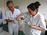 Брно, тестирование овощей на бактерию EHEC, 1 июня 2011 года