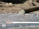 На Украине в Донецкой области десятки людей отравились водой из-под крана. ЧП произошло из-за попавших в водопровод канализационных стоков