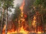 МЧС: площадь пожаров в России уже в три раза больше, чем в прошлом году