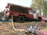 Причиной пожара спиленных деревьев в Сокольниках мог стать поджог