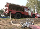 Причиной пожара спиленных деревьев в Сокольниках мог стать поджог Причиной пожара спиленных деревьев в Сокольниках мог стать поджог
