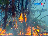 Эта мера была предпринята после того, как минувшим днем из-за лесных пожаров в Иркутской области сгорели семь деревянных опор ЛЭП, питавших электроэнергией Кежемский район края