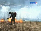 Лесные пожары в Красноярском крае оставили 20 тыс. человек без света