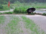 Китай страдает от наводнения после тяжелой засухи, погибли миллионы гектаров посевов