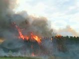 Леса горят, но "адское лето-2010" в этом году не повторится, уверены в WWF