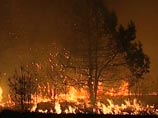 Площадь пожаров в России уже сейчас в три раза выше показателя прошлого года, который был отмечен небывалыми возгораниями в лесах и задымлением городов