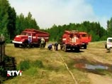 Леса горят, но "адское лето-2010" в этом году не повторится, уверены в WWF Леса горят, но "адское лето-2010" в этом году не повторится, уверены в WWF