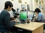 Под Красноярском нашли мертвыми судью и администратора суда Под Красноярском нашли мертвыми судью и администратора суда